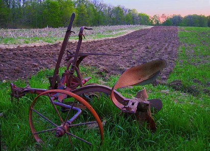 abandoned plow