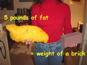 5lb-fat-brick
